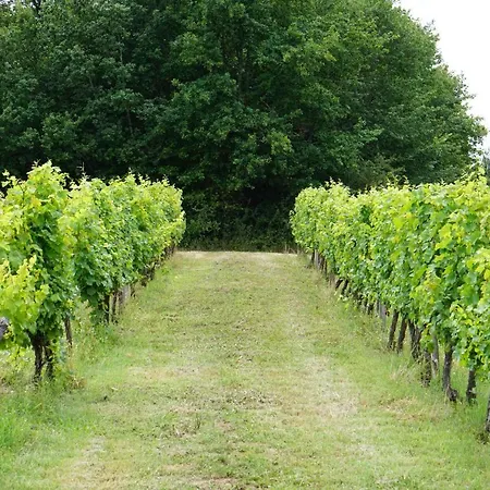 Les Vignes Durand Farm stay *