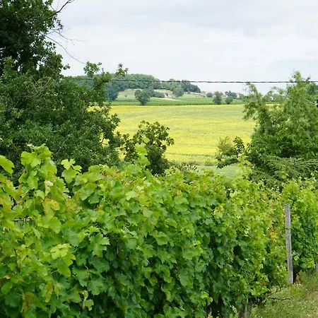 Farm stay Les Vignes Durand