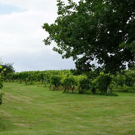 Les Vignes Durand