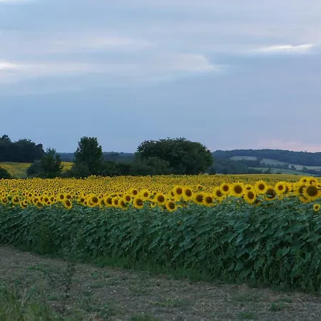 Les Vignes Durand Saint-Jean-de-Duras